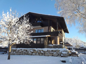 Гостиница Apartmenthaus Hinterer, Бад-Гойзерн
